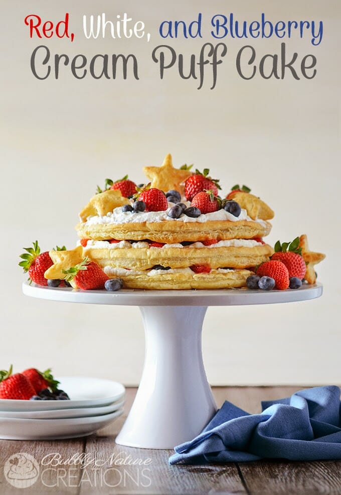 Red White and Blue Dessert