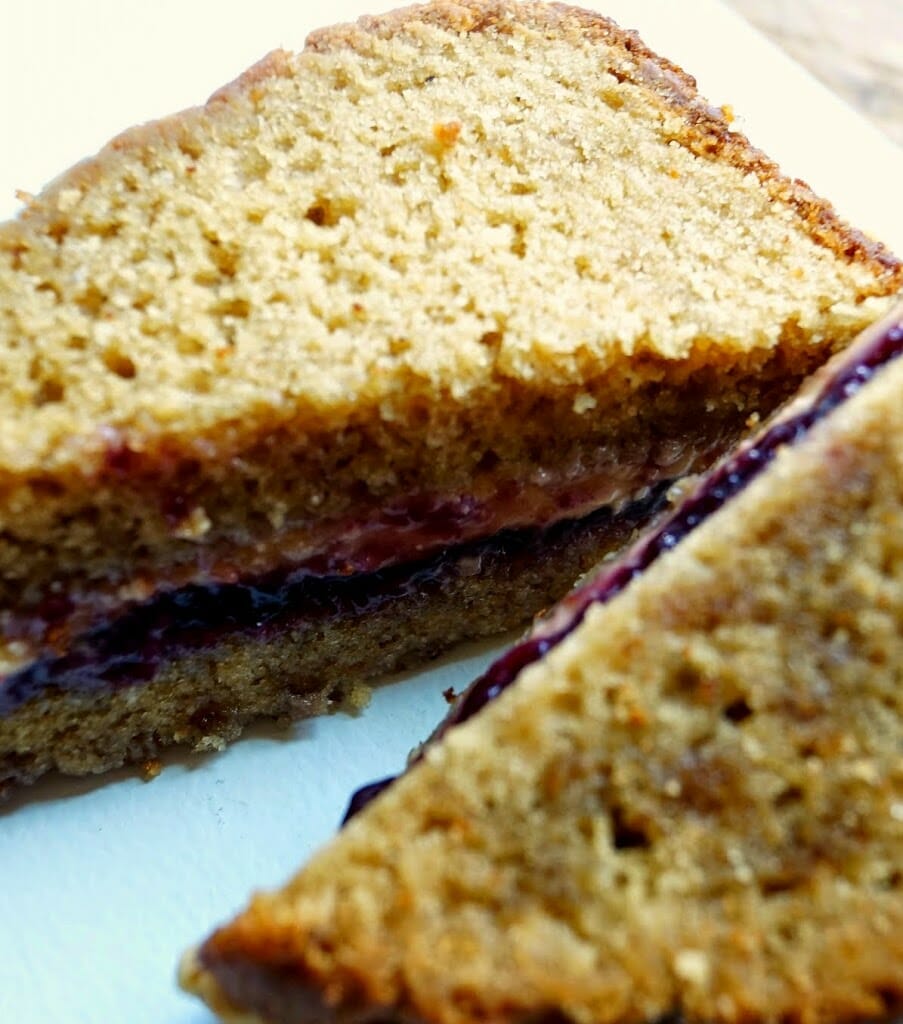 PB&J Cake Sandwich Close-Up