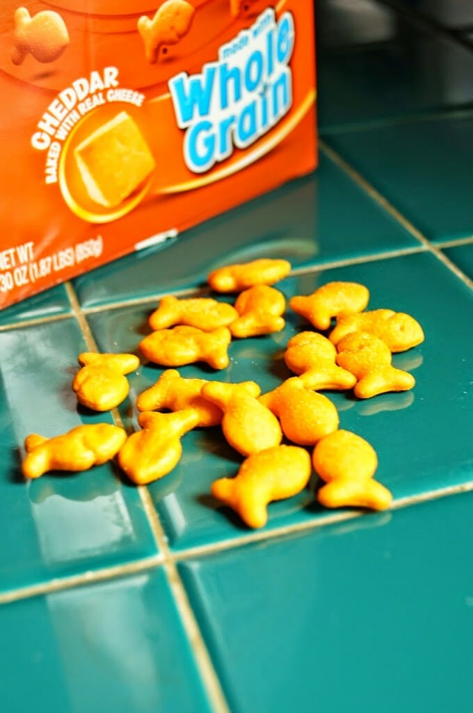 Goldfish Crackers