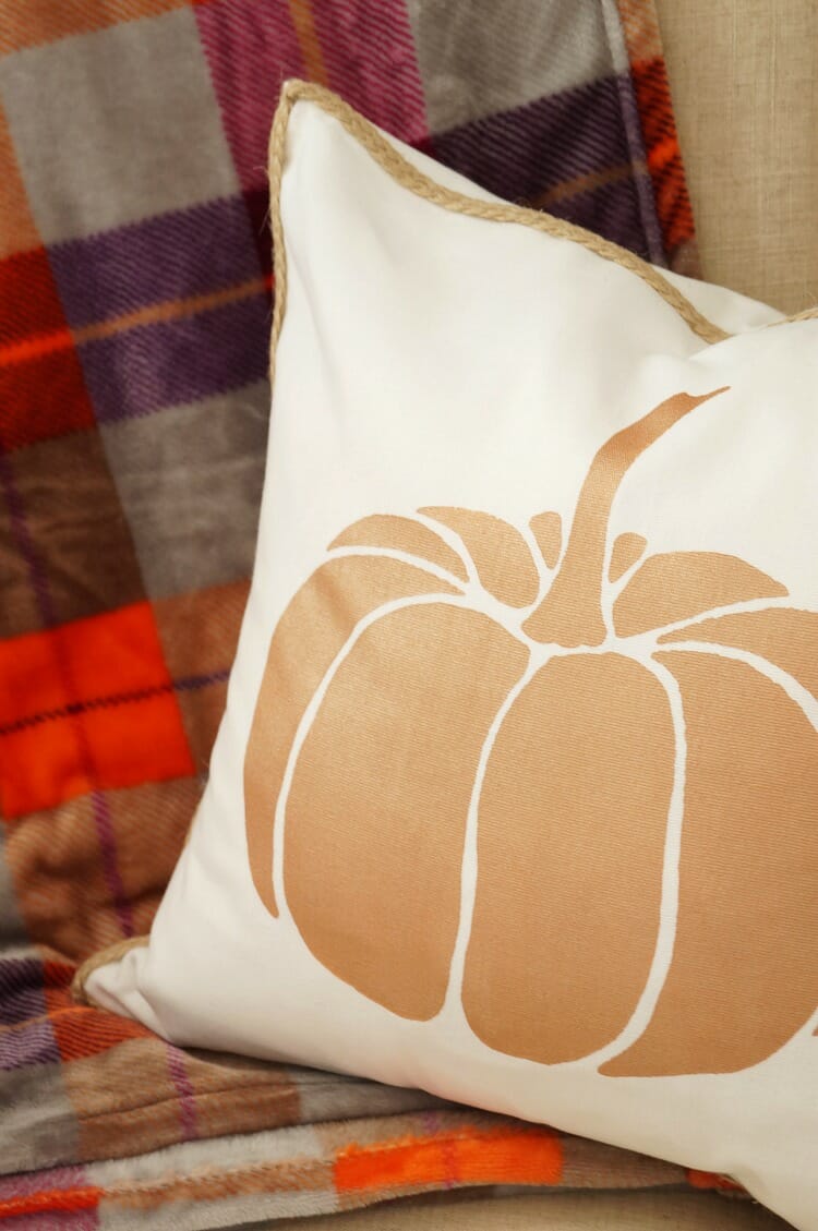 DIY Painted Pumpkin Pillow with Braided Trim