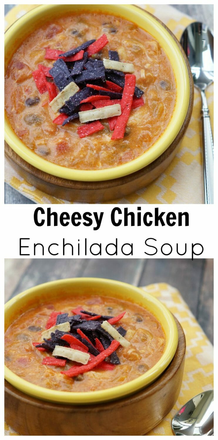 Cheesy Chicken Enchilada Soup 