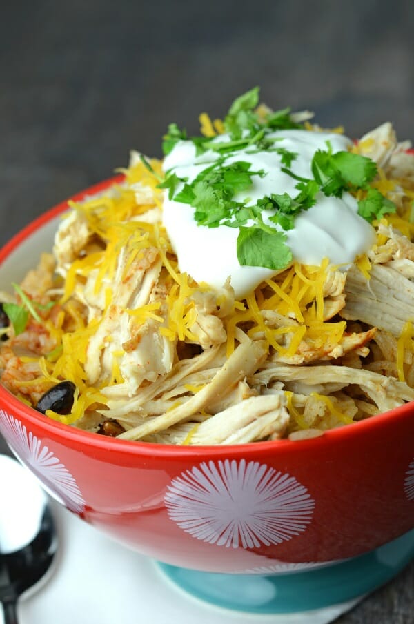 Instant Pot Chicken Recipes