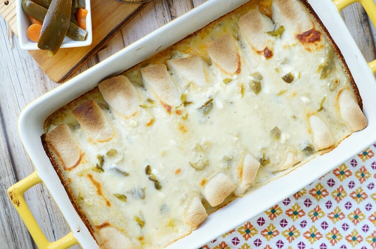 Creamy Jalapeño Queso Chicken Enchiladas