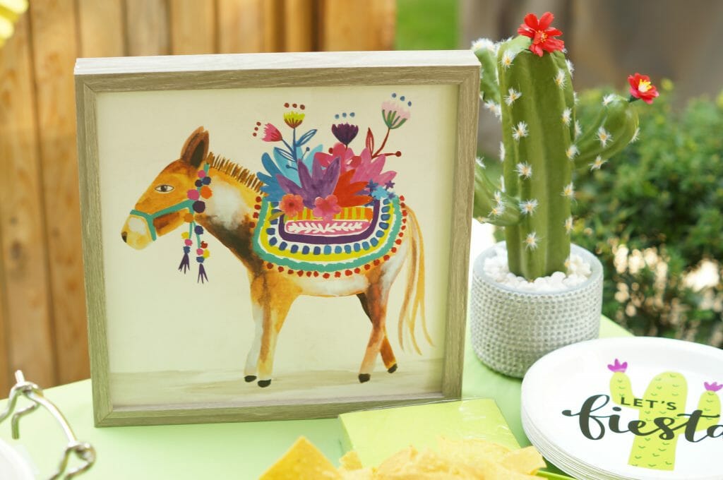 Mexican FIesta Party Decorations