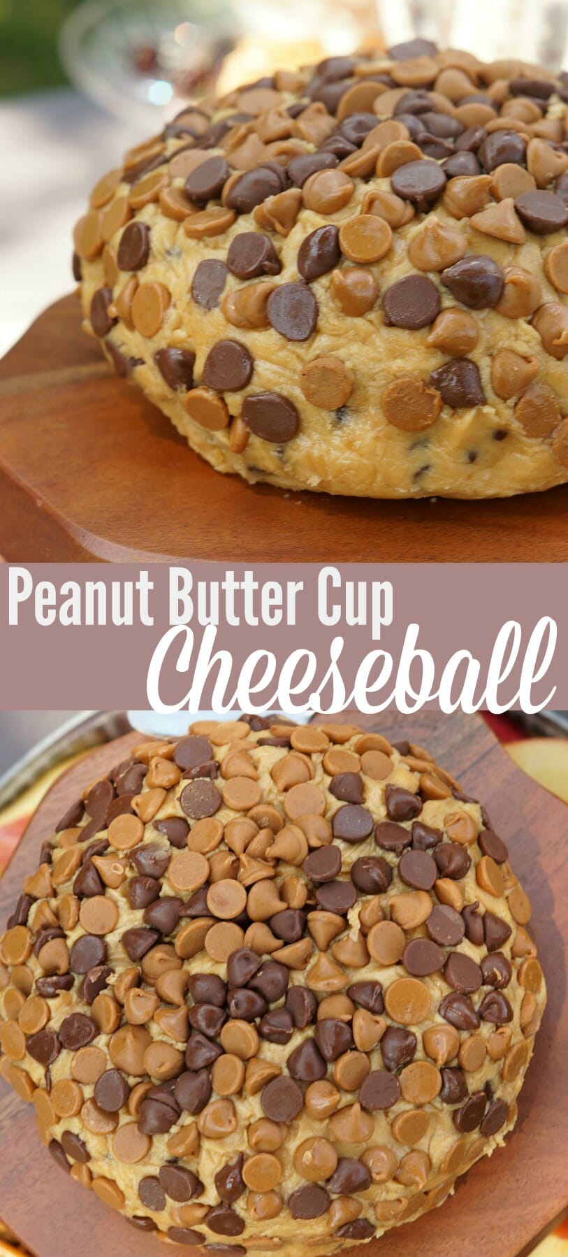 Peanut Butter Cup Cheeseball 