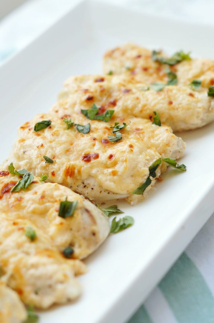 Simple Parmesan Crusted Chicken Close-Up Photo