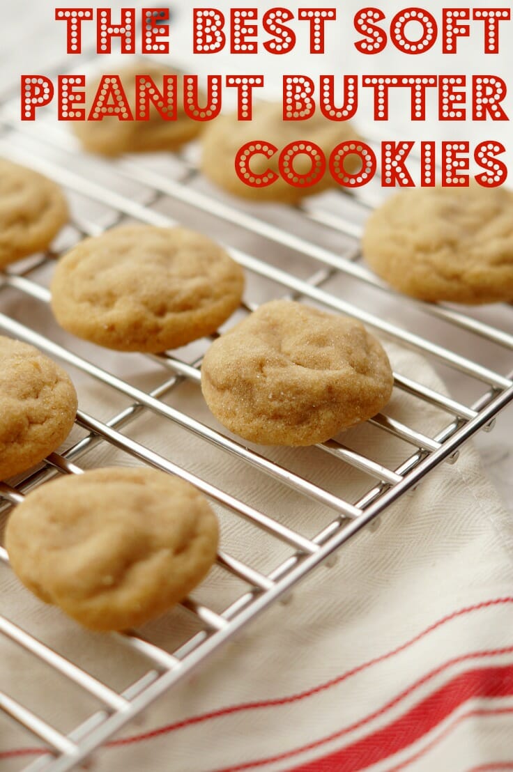 Easy Peanut Butter Cookie Recipe