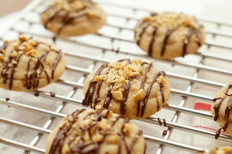 Chocolate Peanut Butter Cookie Recipe