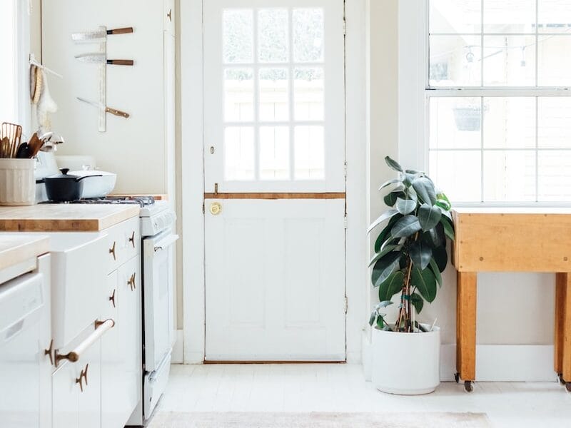green potted leaf plant beside white wooden door