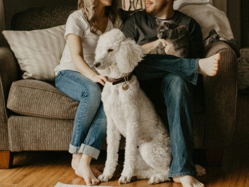 couple sitting on sofa beside dog inside room