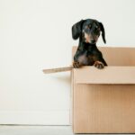7 Mistakes to Avoid When Moving to a New Home