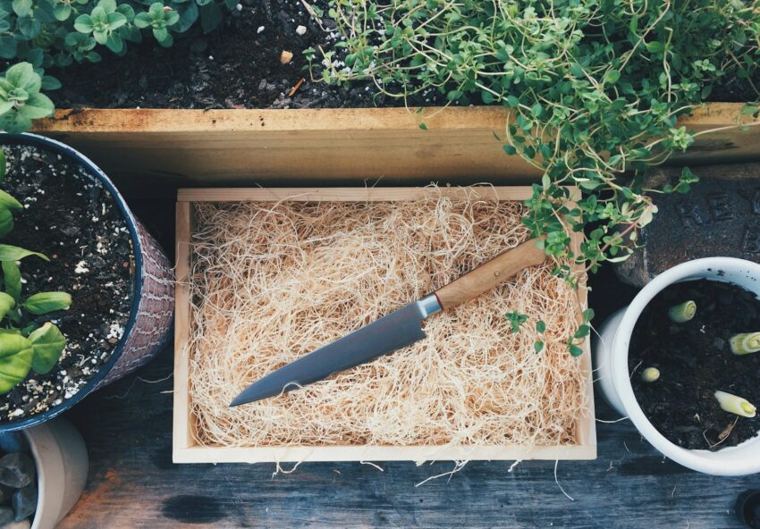 black and brown handle knife on brown wooden tray