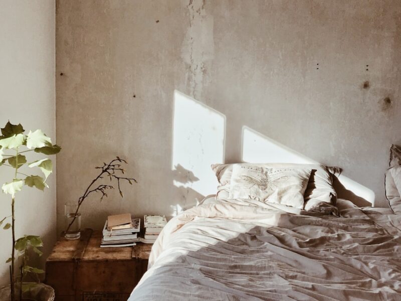 leaf plant near bed