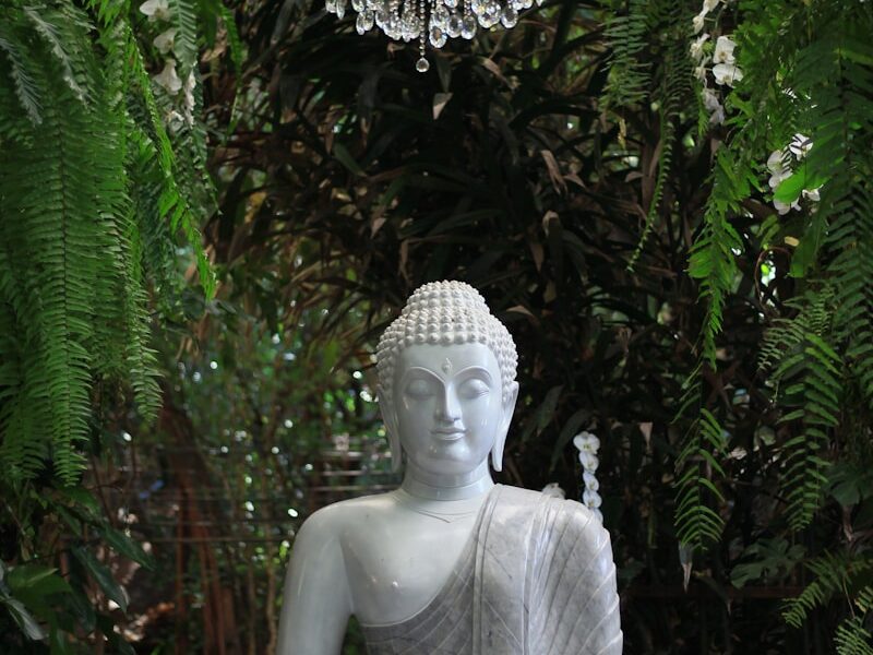 a statue of a buddha sitting in a garden