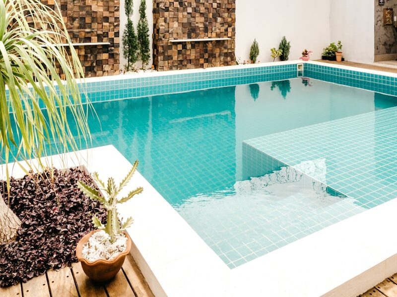 green potted plant beside swimming pool
