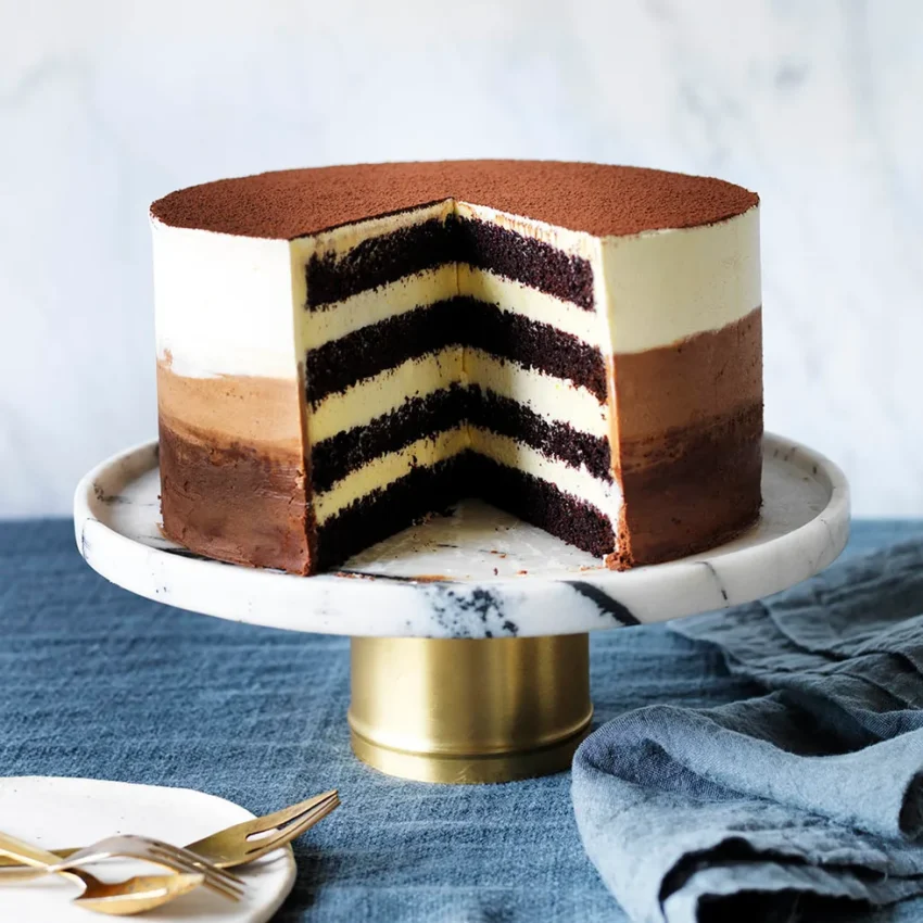 Chocolate buttermilk ombre cake