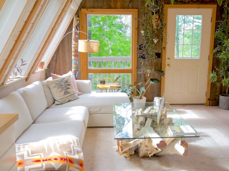 white couch beside green potted plant