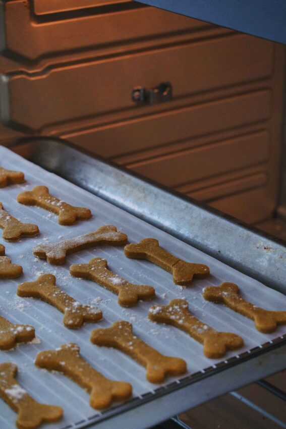Homemade Dog Treats