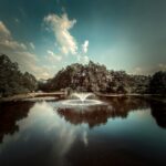 a body of water with trees around it