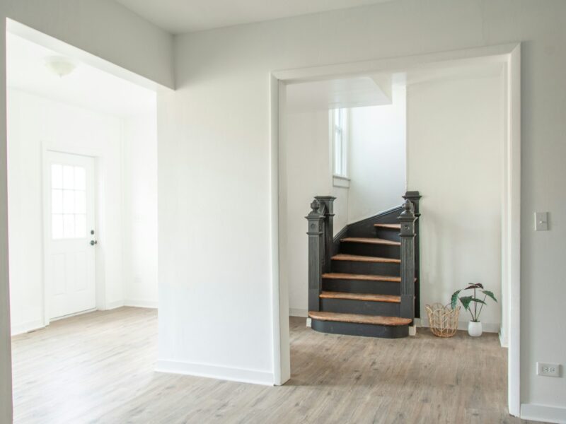 a white room with a staircase and a potted plant