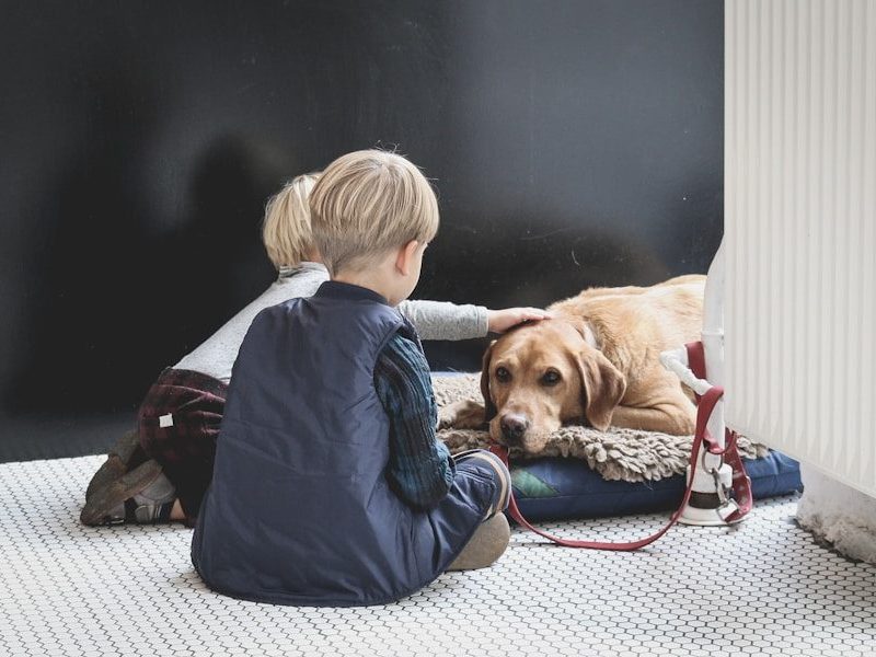 boy sitting in front of dog