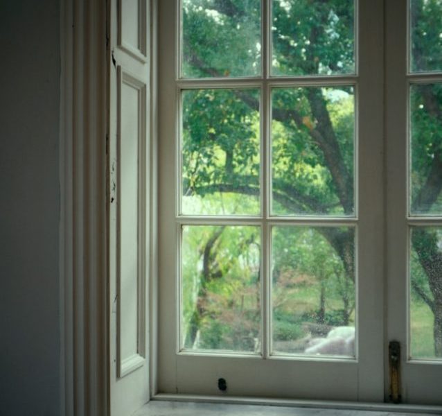 A window with a view of a tree outside