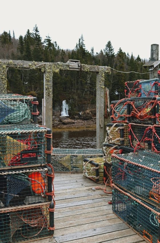 lobster fishing in Maine